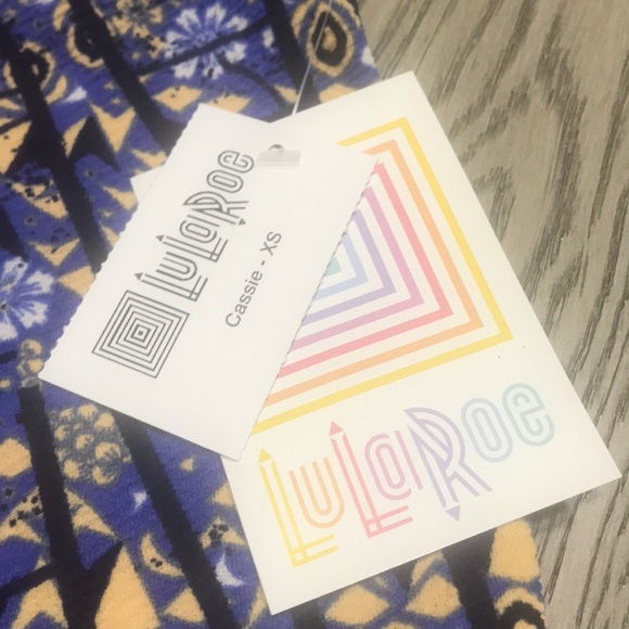 NWT Skirt- Size XS (2-6) - Picture 2 of 6